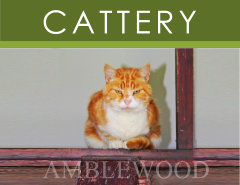 Cattery Link-Box