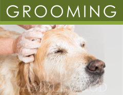 Dog Grooming Link-Box