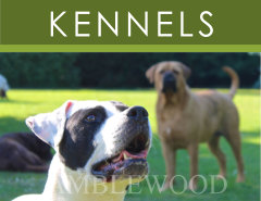 Dog Kennels Link-Box